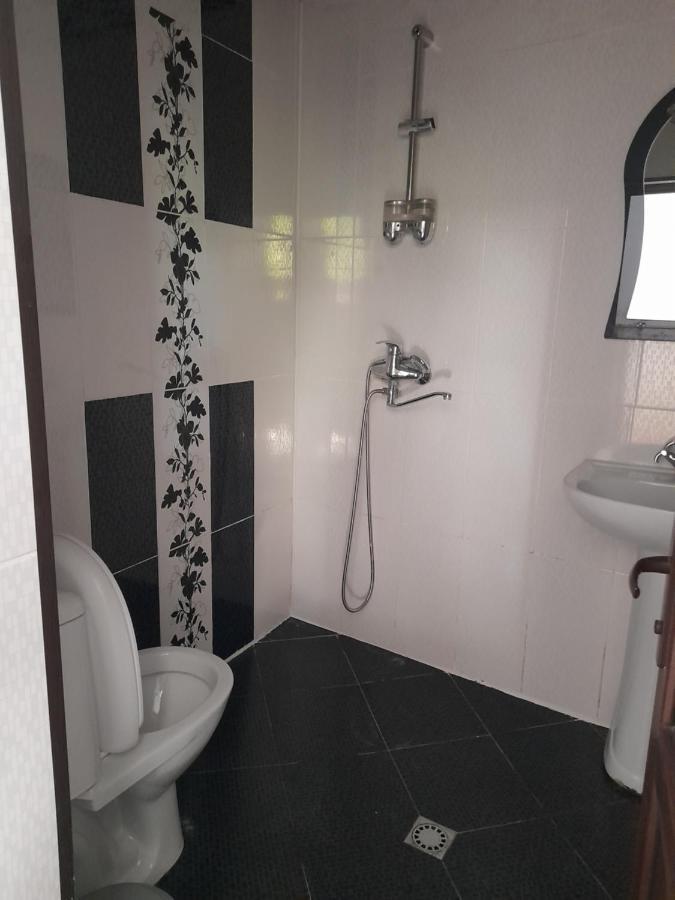 Guesthouse Bordżomi Zewnętrze zdjęcie